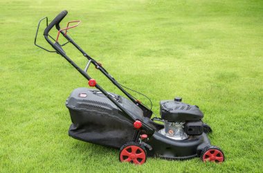  Çim biçme makinesi yeşil çimlerde. 