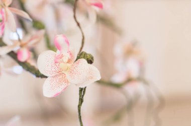 Japon Kayısısı ,yapay çiçek yapımı 