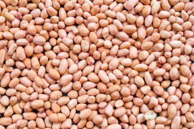 maymun fındık-Fıstık veya yer fıstığı görünümü kadar kapatın. Yer fıstığı peletleri 