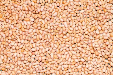 maymun fındık-Fıstık veya yer fıstığı görünümü kadar kapatın. Yer fıstığı peletleri 