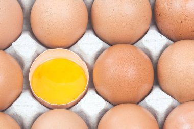 Tavuk yumurtası diğer yumurtaların yanında yarısı kırıktır.
