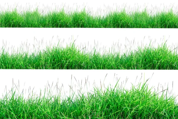 Beyaz arkaplanda yeşil çimen sınırı izole.