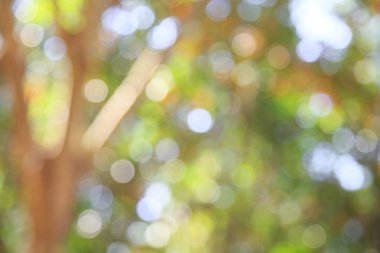 Bokeo doğal ışık arka plan,