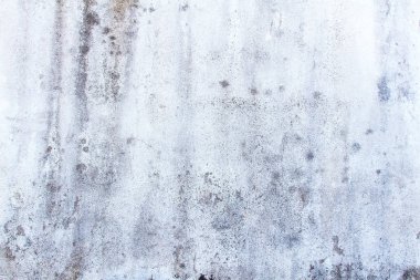küf mantar siyah benekli duvar w büyüyen doku yakın