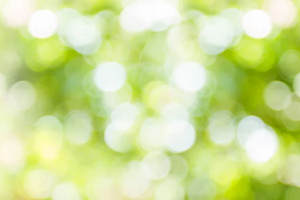 自然の緑のボケをぼかしから緑の背景のボケ味 — ストック写真