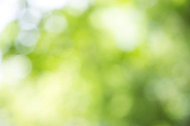 Doğa soyut üzerinde yeşil bokeh arka plan yeşil bokeh bulanıklık 