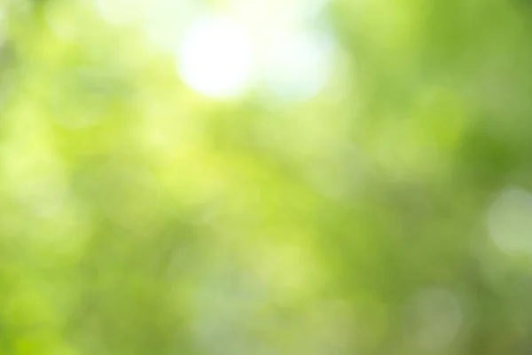 自然の緑のボケをぼかしから緑の背景のボケ味 — ストック写真