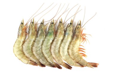 Pasifik Beyaz karides beyaz arka planda izole 