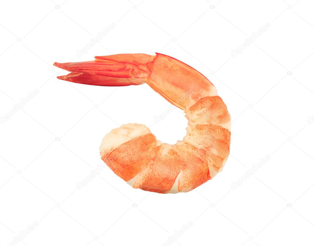 shrimps isolated