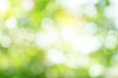 Doğa soyut üzerinde yeşil bokeh arka plan yeşil bokeh bulanıklık 