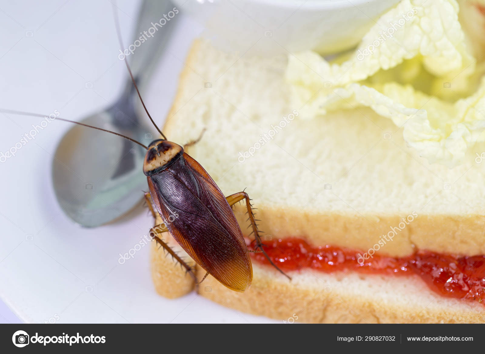 mn-heath-laws-living-with-cockroaches-naked-girl-with-tattoos