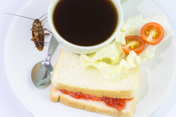 Проблема в доме из-за тараканов, живущих в ки
