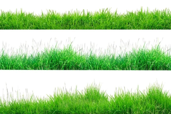 Zelená travní hranice izolovaná na bílém pozadí. Kolekce o — Stock fotografie