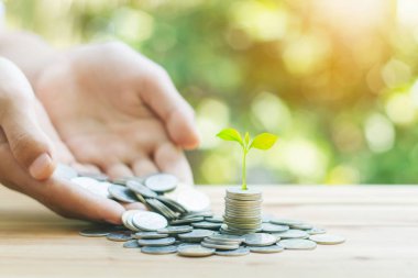 kar kavramı yatırım ve finans kadar sikke büyüme 