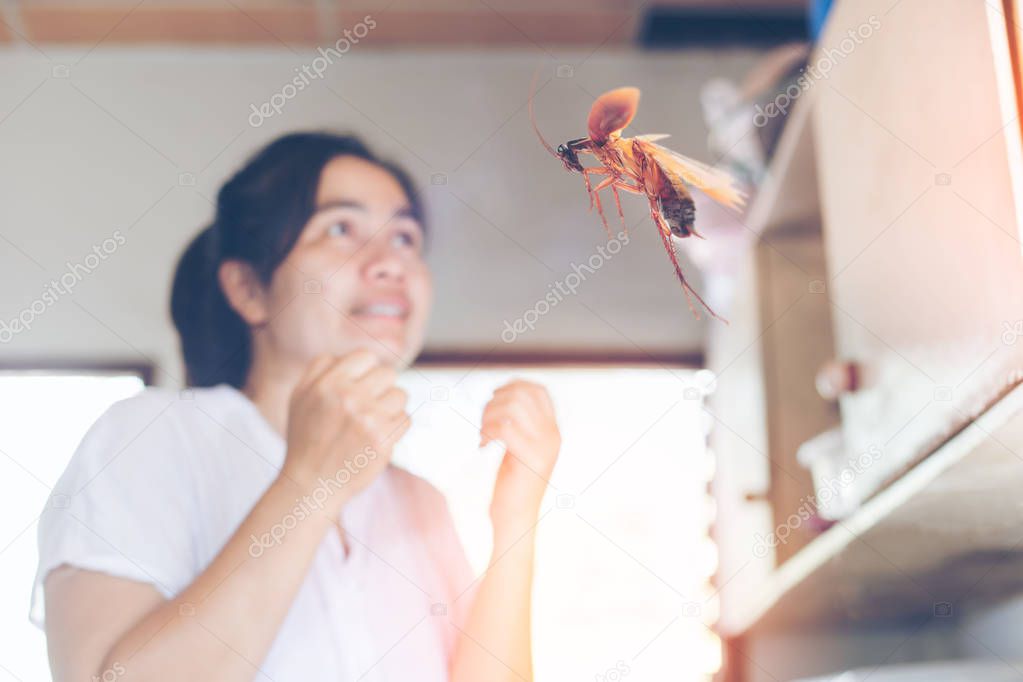 The woman is going to hit cockroaches in the kitchen. 