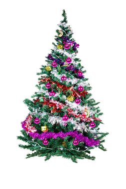 Güzel noel ağacı izole 