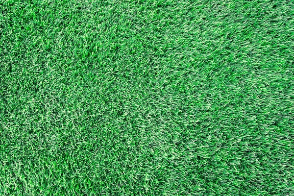 Green grass background texture. Green lawn texture background. t