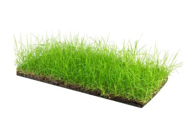  toprak arazi ve yeşil çim ile yuvarlak toprak zemin kesiti