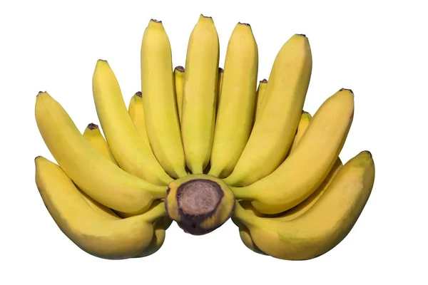 Färsk Banan Samling Isolerad Vit Bakgrund Banana Har Många Fördelar — Stockfoto