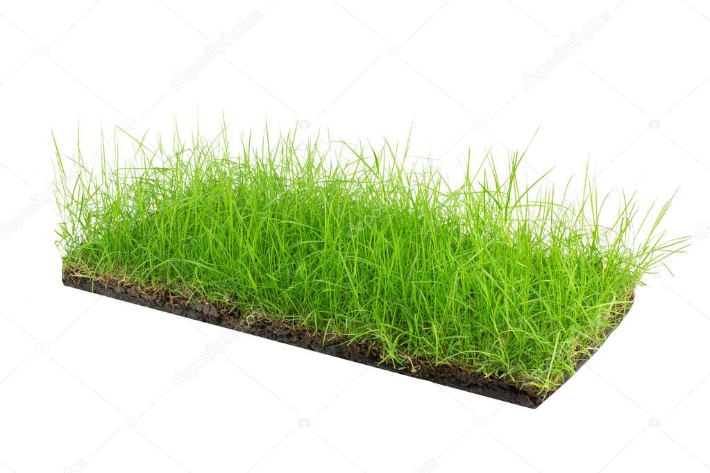  round soil ground cross section with earth land and green grass