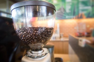 Öğütücü haznesinde kahve çekirdekleri, yakın çekim. Metin için alan.