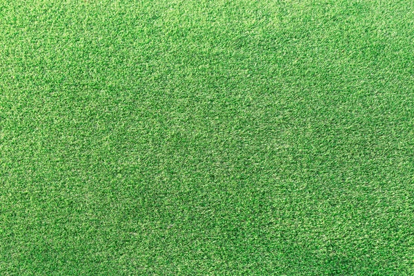 Green grass background texture.