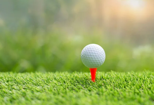 Golf Topu Atışa Hazır Bekliyor Golf Sahasında Golf Topuna Vuruyor — Stok fotoğraf