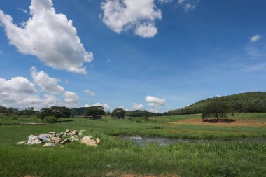 Yeşil çayır üzerindeki yeni inşaat projesi için arazi inşaatı, inşaat alanı için arsa. Satış için tarım arazisi.