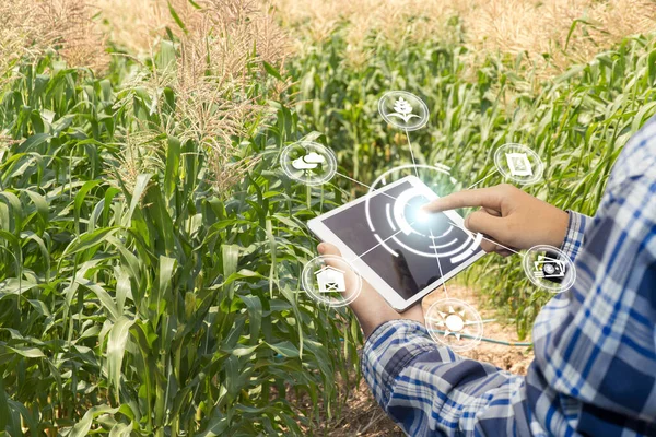 Tecnologia Inovação Para Sistema Fazenda Inteligente Gestão Agrícola Mão Segurando — Fotografia de Stock