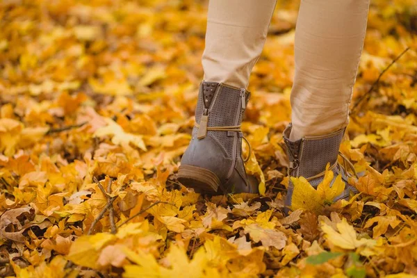 Séta Őszi Erdőben Halloween Évad Láb Közelről — Stock Fotó