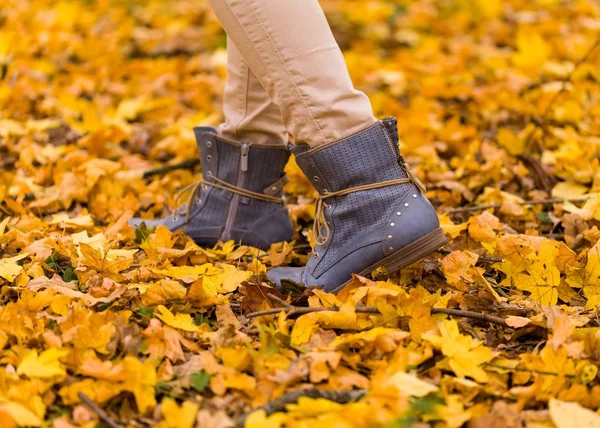 Stagione Autunnale Con Foglie Cadute Platano — Foto Stock