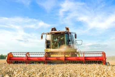 Güneşli bir yaz gününün ve bulutlarla dolu mavi gökyüzünün arka planında. Hasat makinesi hasat olgun altın buğday alanında birleştirin. Tarım endüstrisinin imajı