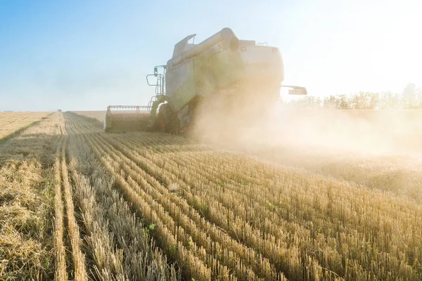 Contra o pano de fundo de um dia ensolarado de verão e céu azul com nuvens. Combine colheitadeira colheita de trigo dourado maduro no campo. A imagem da indústria agrícola — Fotografia de Stock