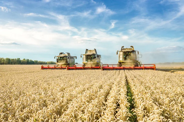 Contra o pano de fundo de um dia ensolarado de verão e céu azul com nuvens. Combine colheitadeira colheita de trigo dourado maduro no campo. A imagem da indústria agrícola — Fotografia de Stock