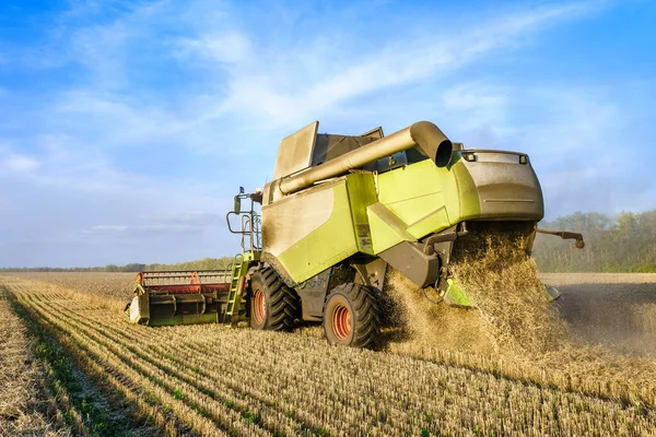 Combine colheitadeira colheita de trigo dourado maduro no campo. A imagem da indústria agrícola — Fotografia de Stock