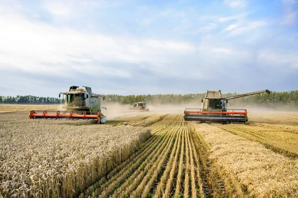 Combiner la moissonneuse-batteuse récoltant du blé doré mûr sur le champ. L'image de l'industrie agricole — Photo