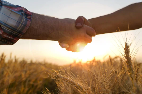 Two farmers shake hands against the background of a wheat field. Conclusion of a contract. — Stock Photo, Image