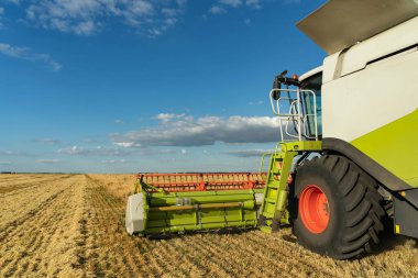 Buğday hasadını birleştirerek olgunlaşmış buğday toplar. Tarım imajı