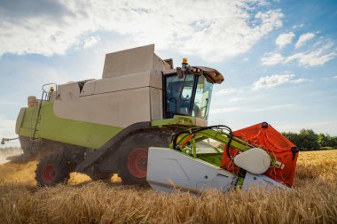 Buğday hasadını birleştirerek olgunlaşmış buğday toplar. Tarım imajı