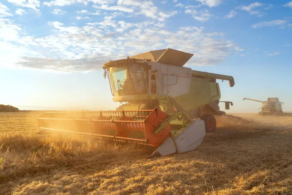 Combiner les récoltes récolteuses de blé mûr. Agriculture image — Photo