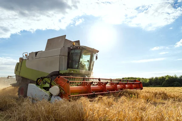 Combiner les récoltes récolteuses de blé mûr. Agriculture image — Photo