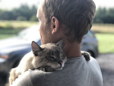 Mutlu toplantı gri mavi gözlü kedi sahibi sonra ayrılık ile kedi minnetle sarışın ve gülümsüyor hugs. Arka plan bahçe ve bahçedeki özel bir ev bir araba dostları buluşması. Hayvan gülümseyen, mutluluk ve uyum