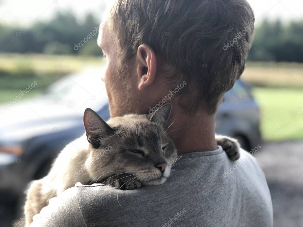 Happy meeting of the gray blue-eyed cat with the owner after parting, the cat gratefully hugs the blonde and smiles. Meeting of the friends of the background lawn and a car in the yard of a private home. Animal smiling, happiness and harmony