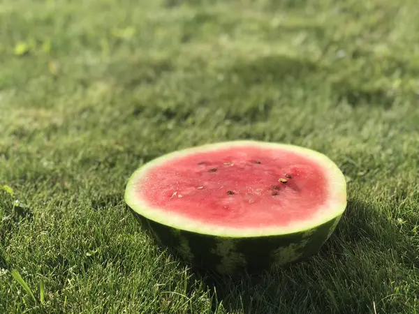 Juicy Cut Ripe Watermelon Neat Trimmed Green Lawn — Stock Photo, Image