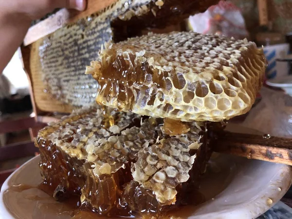 Miel Fresca Peine Panal Hecho Casa Rodajas — Foto de Stock