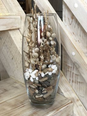 deniz kabuklarını merdivenlerden rustik tarzda, resim parlak renklerde arka plan üzerine bir vazoda