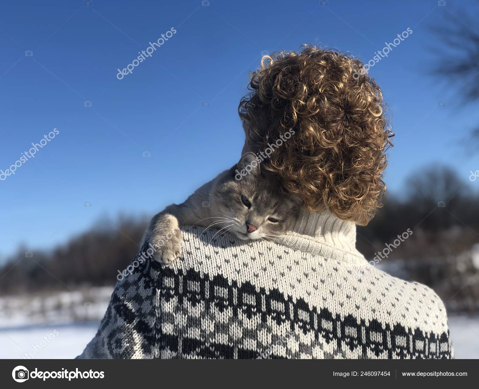 Chat Siamois Gris Blanc Aux Yeux Bleus Câlins Avec Sourire