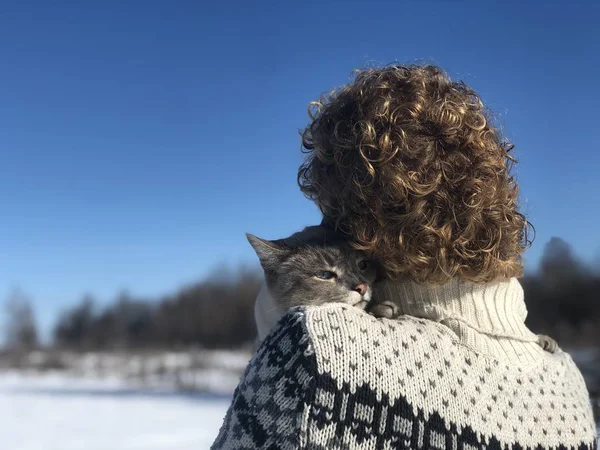 Chat Siamois Gris Blanc Aux Yeux Bleus Étreint Avec Sourire — Photo