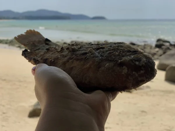 Peixe assado em folha em sal em tailandês na palma de uma mulher contra o mar e costa à tarde — Fotografia de Stock