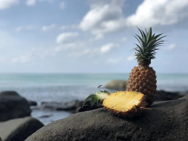 Succosa frutta fresca tailandese ananas su una pietra contro il mare nel pomeriggio — Foto Stock